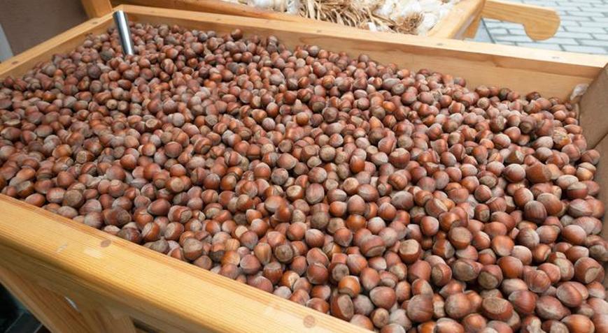 Ferreroya Rekabet Kurulundan soruşturma