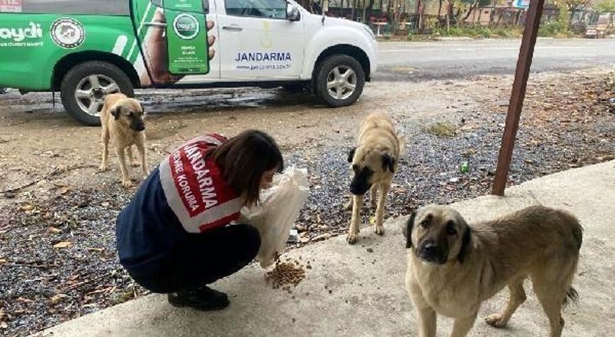 Jandarma can dostları unutmadı