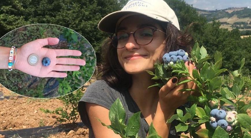 Kanserden diyabete pek çok şey için faydalı İyi kazandırıyor diyerek işin sırrını anlattı