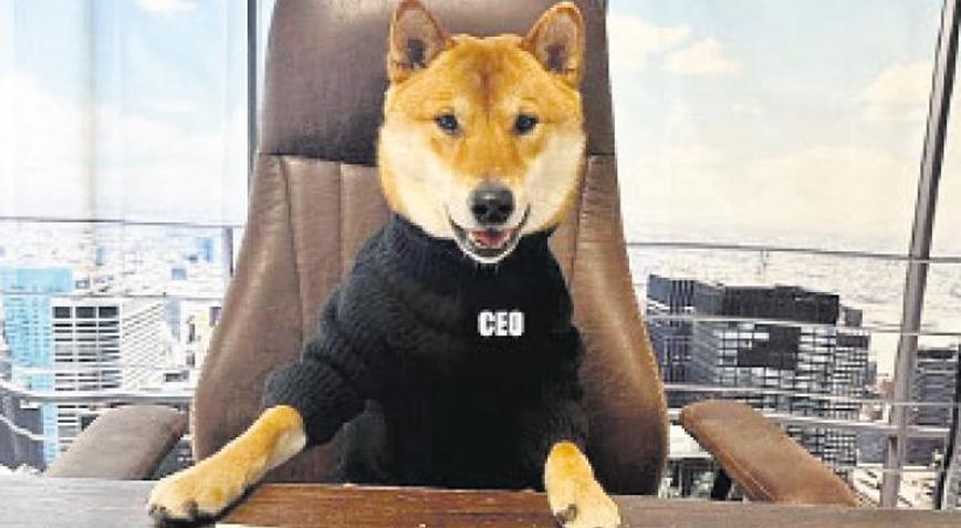 Twıtter’in yeni CEO’su: Floki