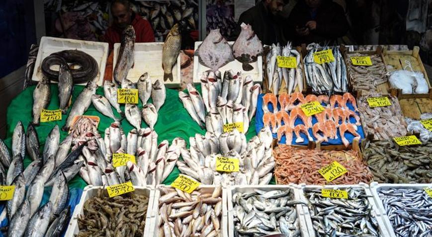 Av yasağı öncesi balıkçılardan uyarı: Vatandaşlar ucuz balıkları kaçırmasın