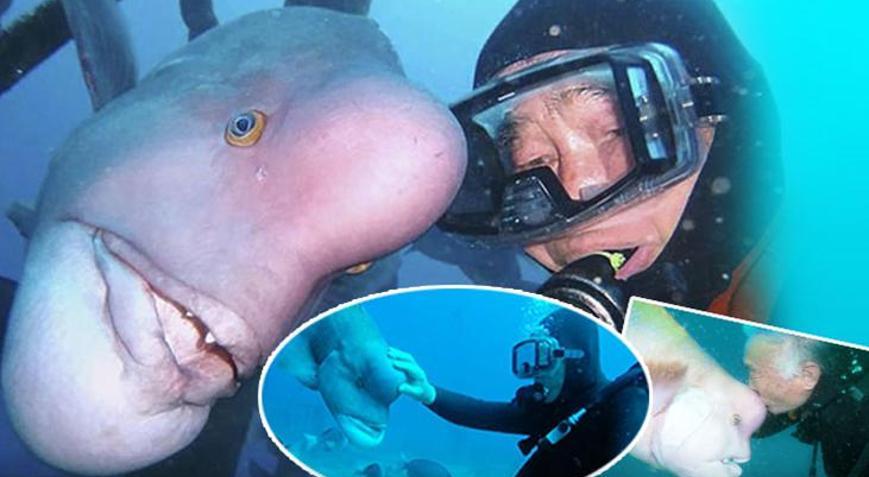 Ölümden kurtardığı balıkla böyle dost oldu Tam 30 yıldır görür görmez yanına geliyor