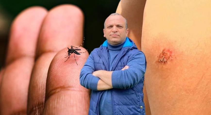 İstanbulda ürüyor, tüm Türkiyede görüldü Yara açan sivrisinek tehlikesi