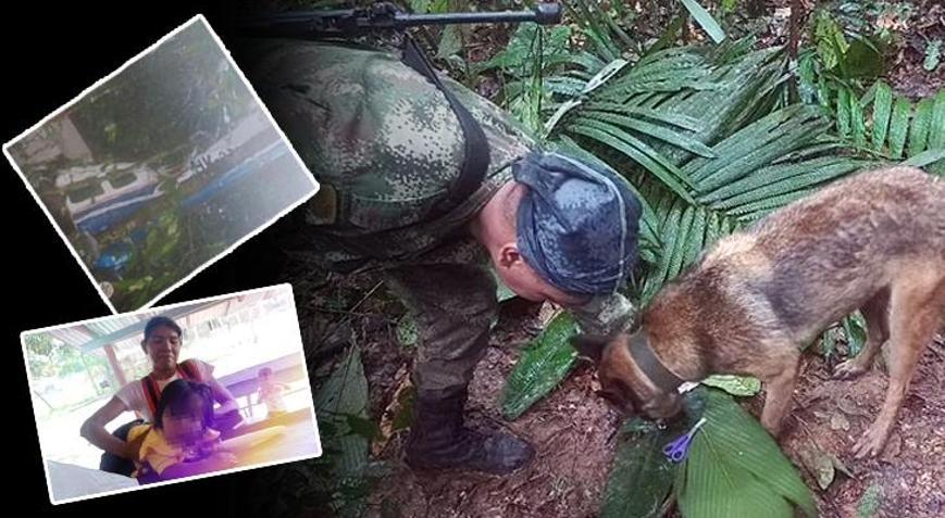 Devlet başkanı açıkladı, ordu yalanladı Umut Operasyonunda 17 gün sonra bir iz bulundu
