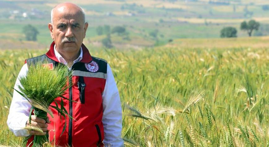 Bakan Kirişci: Buğdayda 21 milyon ton rekolte bekliyoruz