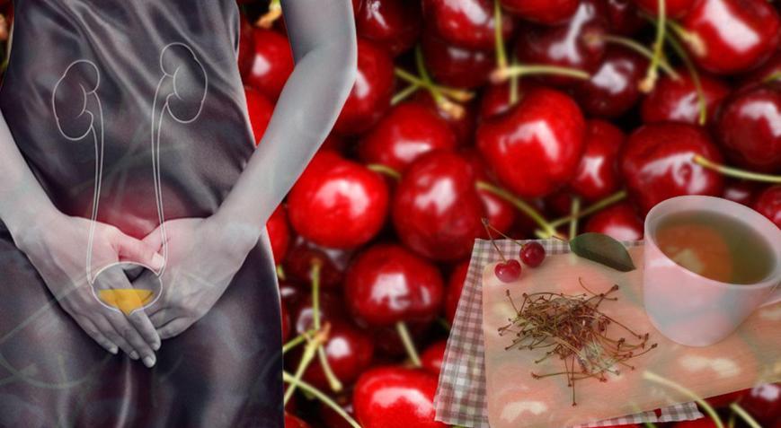 Çöpe atıyorduk Oysaki 1 bardağı idrarı söküp atıyor ve vücudu temizliyormuş...