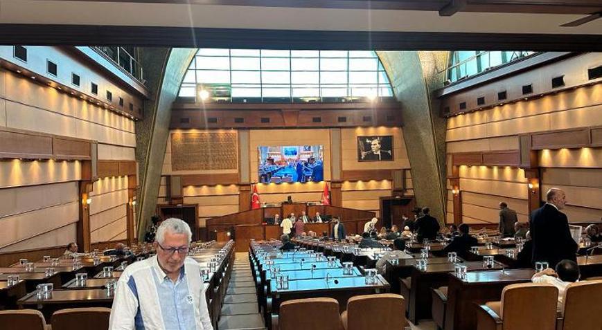 İBB meclisinde sinek eleştirisi: Son 2-3 yıldır hiç olmadığı kadar şikayet var