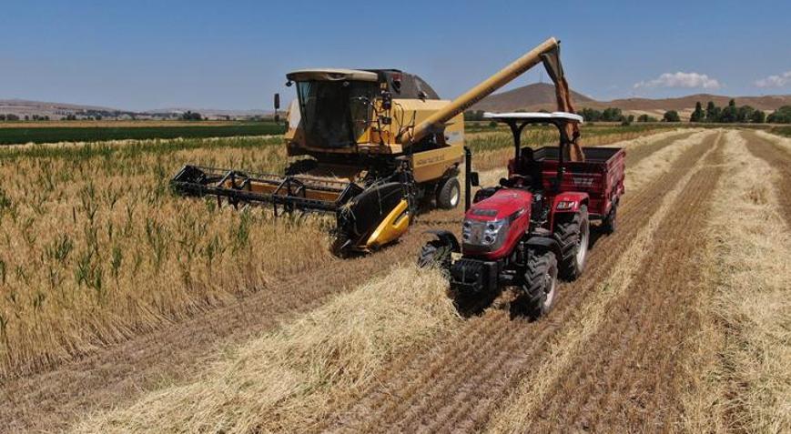 Buğday hasadında yağmur bereketi, geçen yıla göre verim yüzde yüz arttı