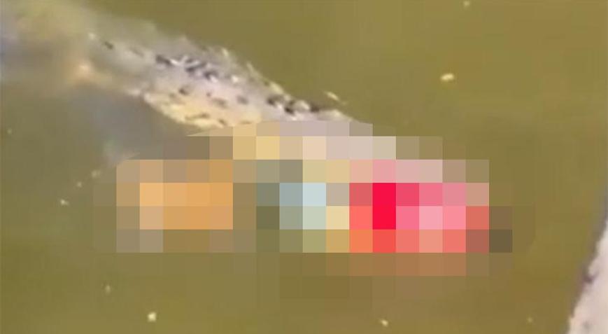 Nehirde timsah kaptı Ağzında cesetle yüzerken görüntülendi