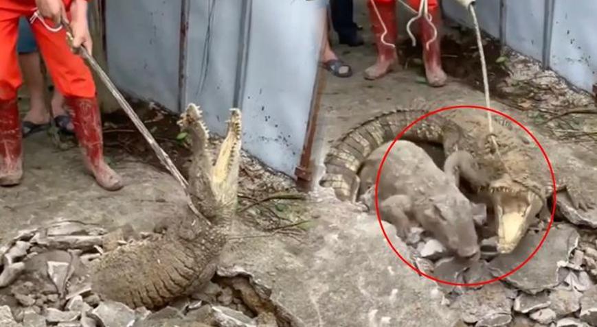 Sesler duyuyoruz diyen mahalleliye şok Duvarı delip dışarı çıktılar