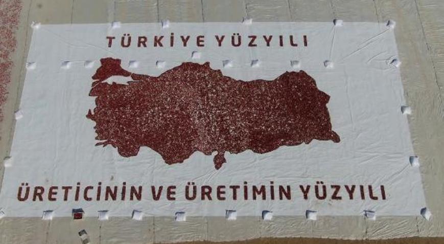 Elazığda kurutmalık ve salçalık domates hasadı etkinliği