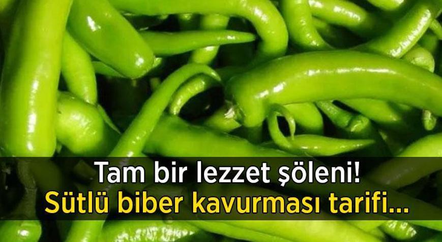 Sütle biber birleşirse ne olur Damak çatlatan sütlü biber kavurma tarifi…