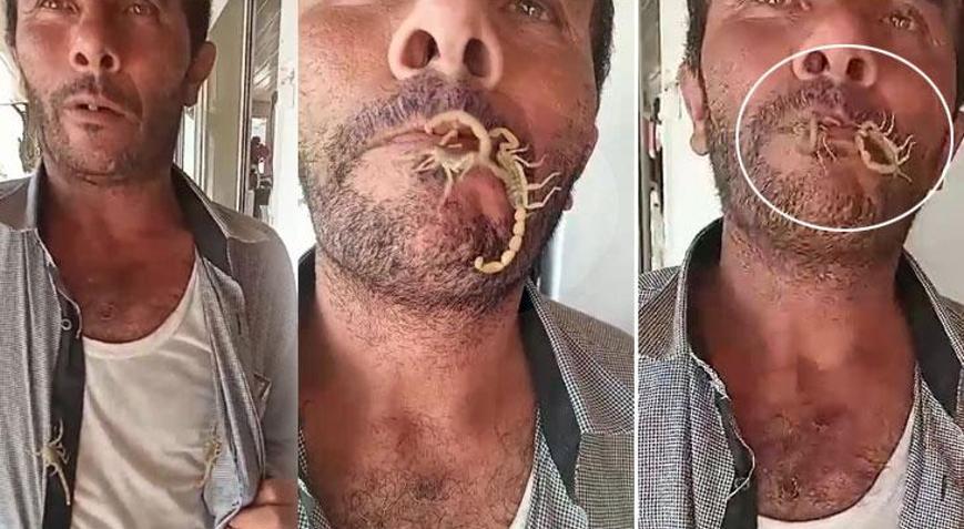 İki akrebi ağzına alıp kendini sokturdu Sonrası şaşkına çevirdi