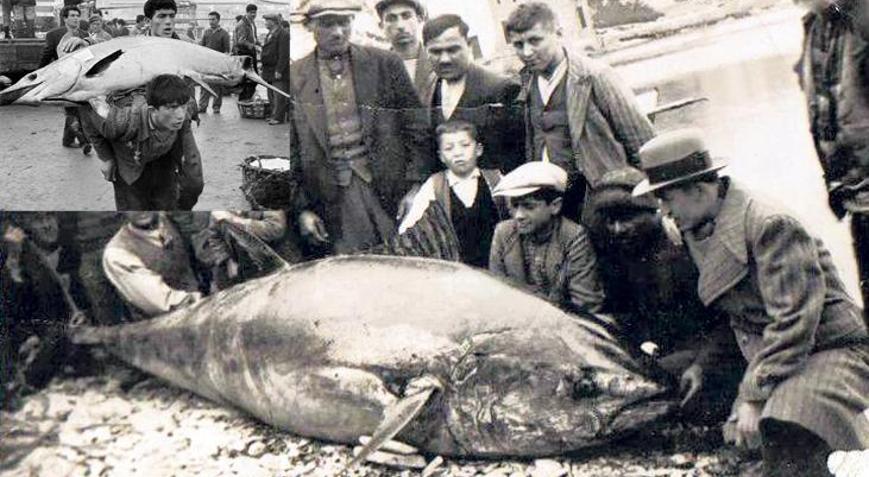 Kaybolan balıklarımız