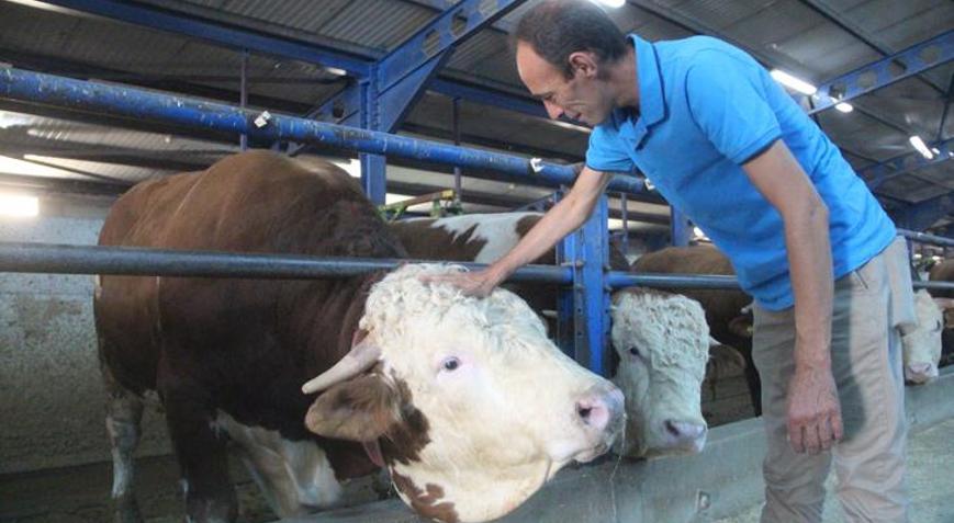 Devlet destek verdi Babasından kalan ahırı çiftliğe çevirdi