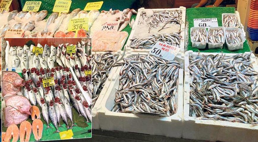 Palamut bolluğu var hamsi 50 liraya indi