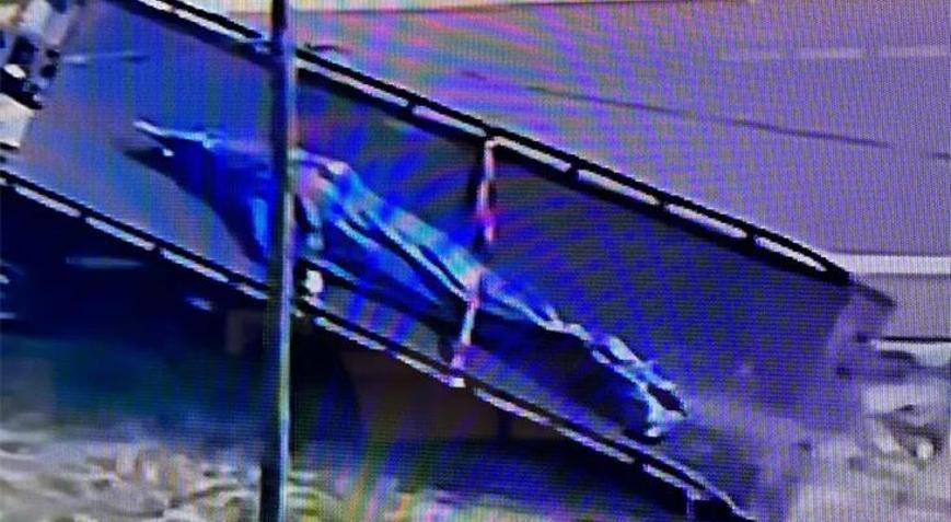 Canavar yedi Ağzındaki cesedi görünce kayda aldı