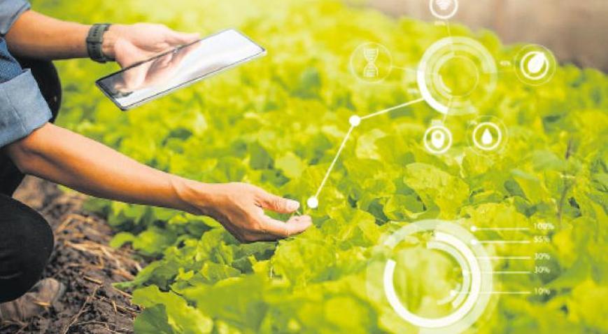 İnsanoğlu sonunda bitkilerle de konuşmaya başladı ‘Ey benim sevgili ağacım nasılsın’