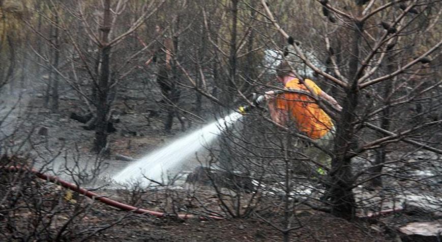 kazdağları'nda orman yangını! ekipler sevk edildi - güncel haberler milliyet