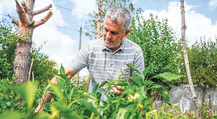 İstanbul’un çiftçileri