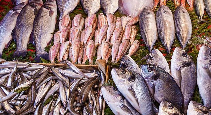 Ekim ayında sofranızda olması gereken o balıklar Tam bir şifa deposu