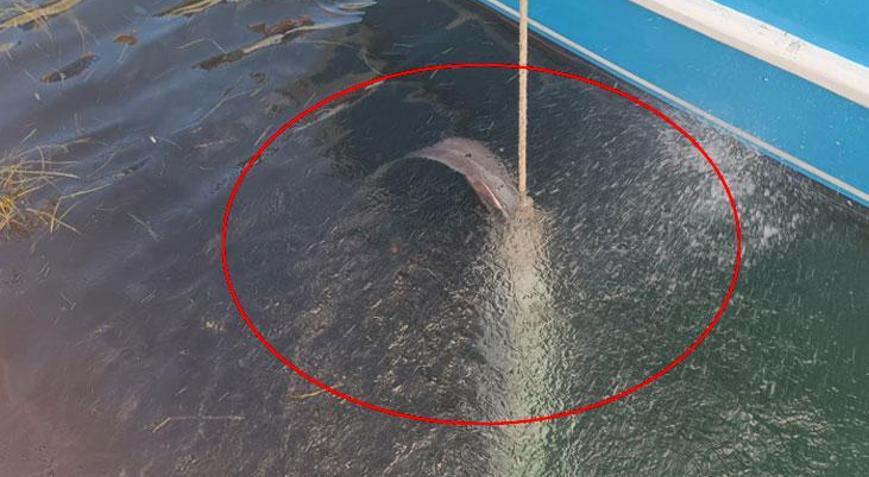 Denize attığı ağ bir anda ağırlaştı Kıyıya sürükleyince gözlerine inanamadı