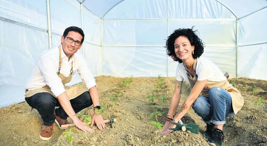 ‘Ortak’ hareket yeniden bereket