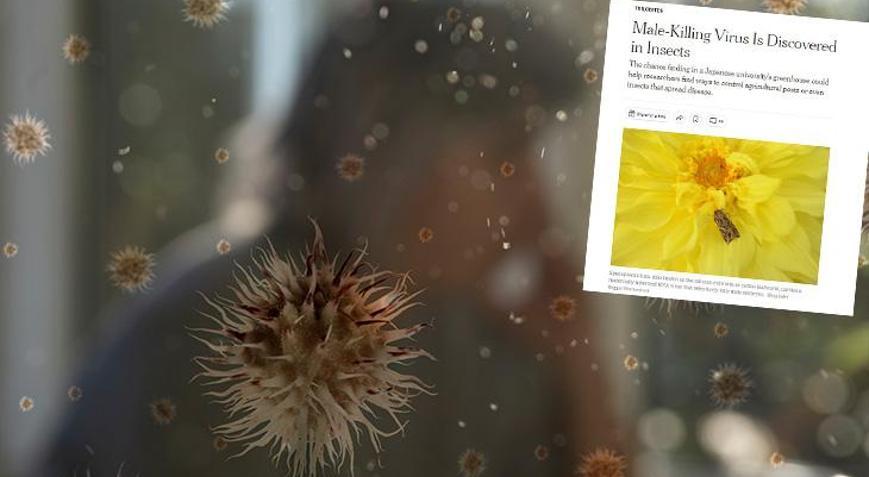 Sadece erkekleri öldüren virüs keşfedildi İlaçlar etki etmiyor