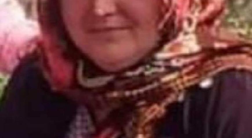 Devrilen traktörün altında kalan kadın öldü