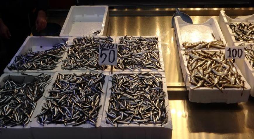 Hamsi fiyatlarında fırtına artışı