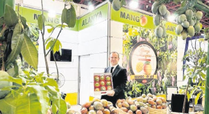 Mango ihracatında ‘milyarlık’ fırsat var