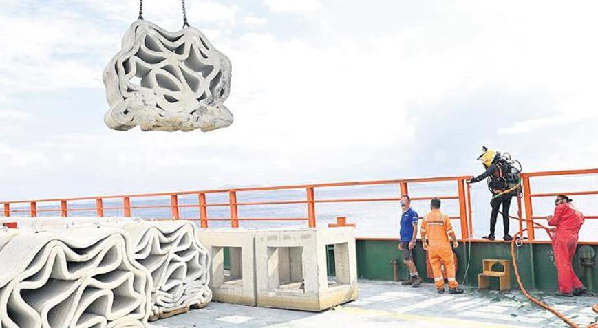 Deniz altında yaşam... Yapay resiflerle canlanacak