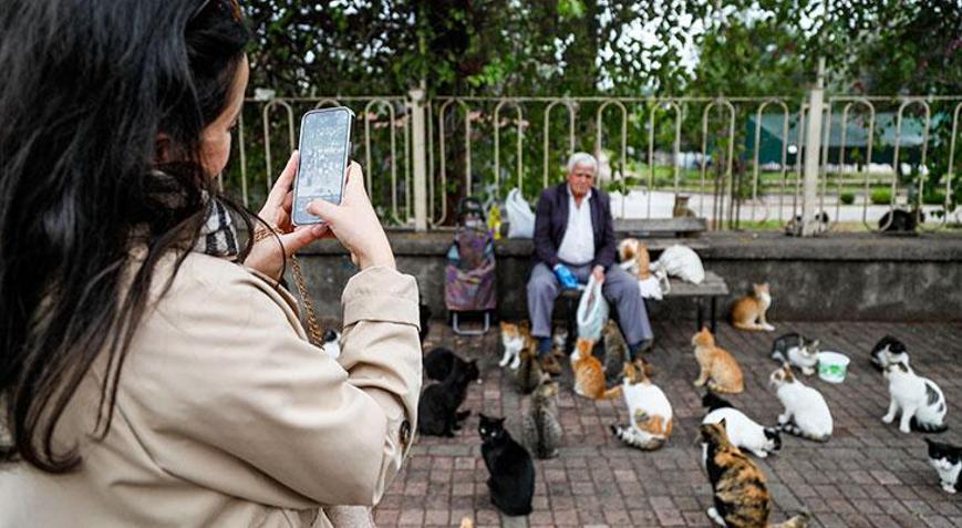 Emekli maanla 800 kediyi besliyor: Ben onlarn babasym