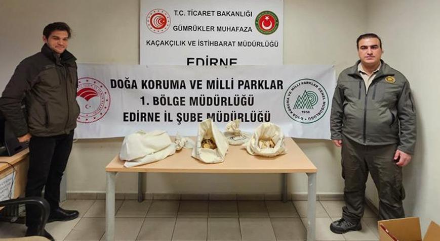 Kapıkule Sınır Kapısı’nda 33 piton ele geçirildi