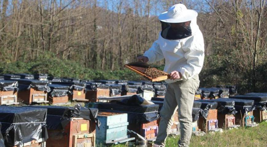 Arıcılar yeni sezona hazırlanıyor