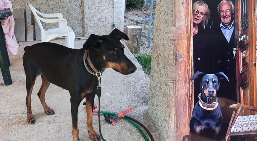 Korhan Berzeg 200 gündür kayıp Tina, her geçen aracın içine bakıyor