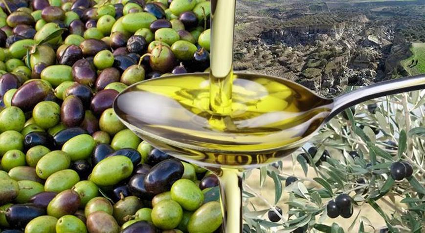 Sahte zeytinyağındaki mazot detayı Evdeki testlerle anlaşılmaz, 3 şifresi var