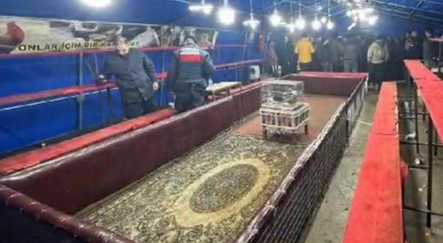 İhbar üzerine harekete geçtiler Hayvanları Koruma Derneğine horoz dövüşü baskını
