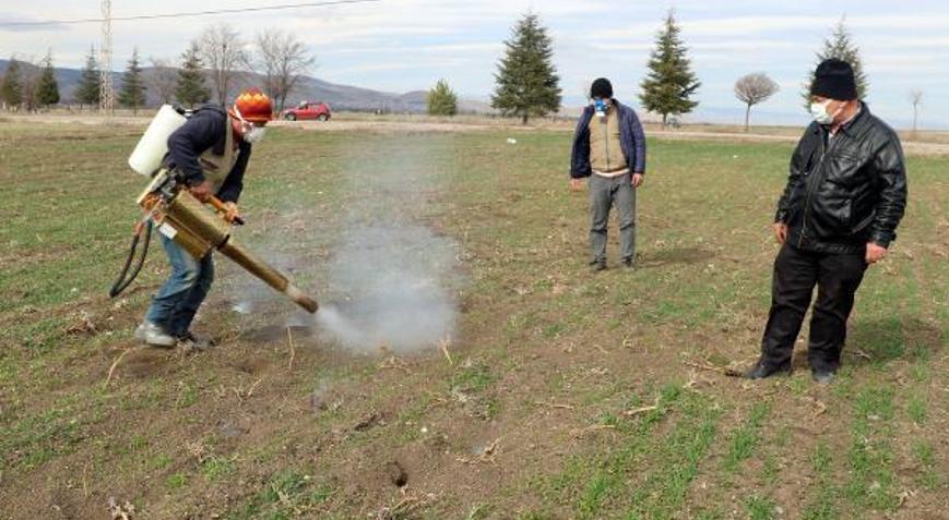 Sandıklılı üreticilerin fare mücadelesi