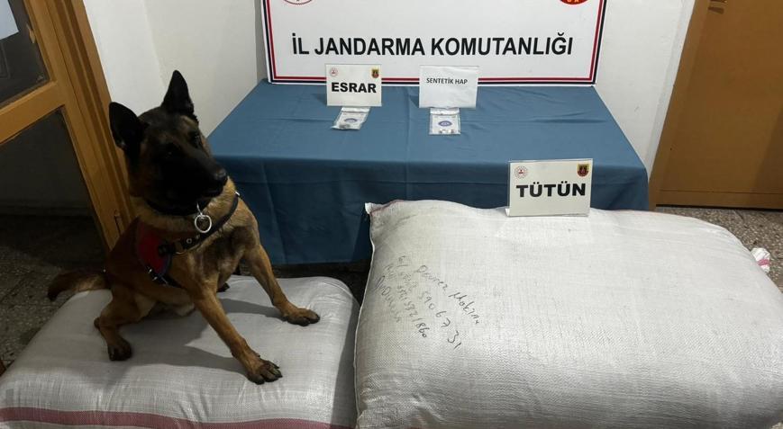 Jandarmadan uyuşturucu ve kaçakçılık operasyonları: 18 gözaltı