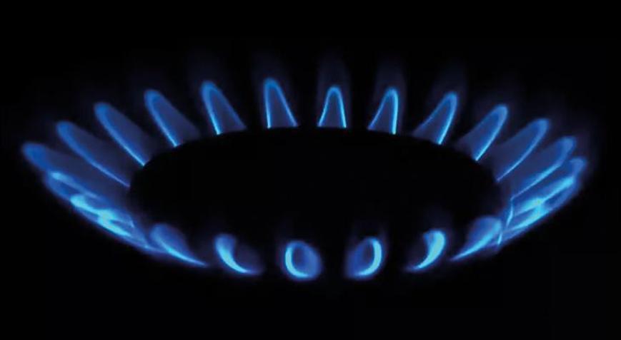 Botaştan Mart ayı için doğal gaz fiyatı açıklaması