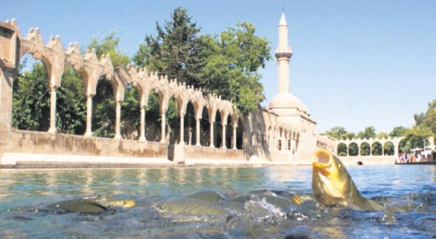 Bereketli hilalin kalbi yatırıma hazır