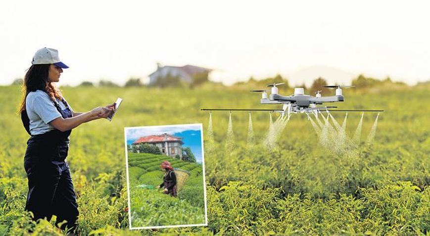 Kadın çiftçiler 300 bini geçti Tarladan sofraya kadar kadın emeği var