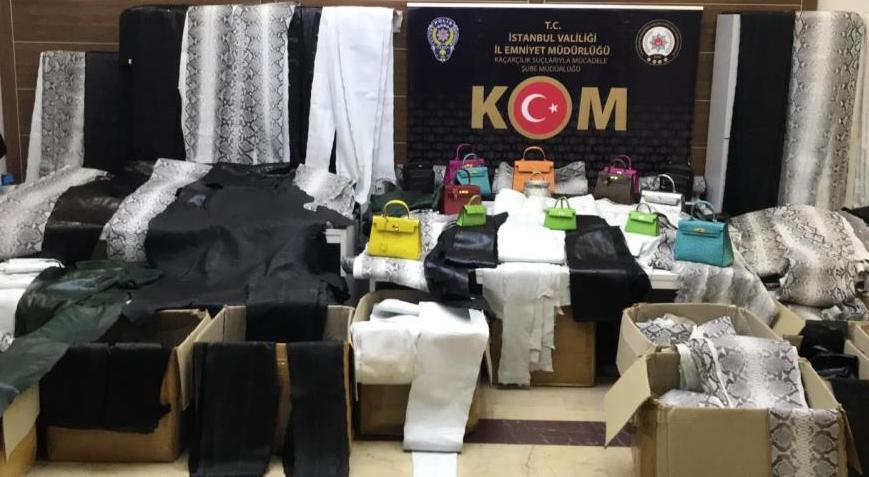 Zeytinburnunda baskın: Bin 501 piton yılanı ve devekuşu derileri ele geçirildi