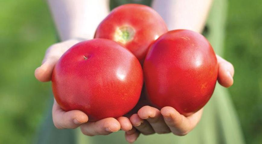 ABden coğrafi işaret alan türk ürünleri 20ye çıktı Aroma ve tat için işaret fişeği