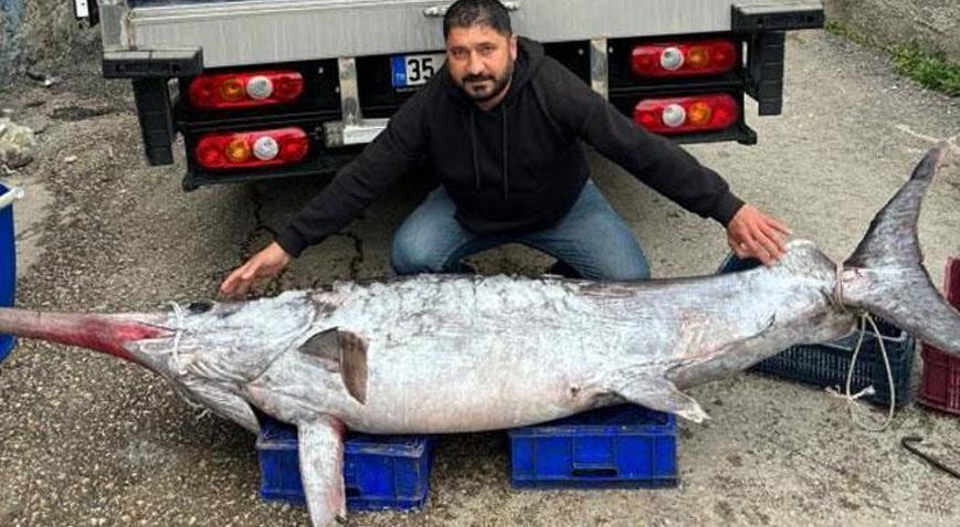 150 kiloluk kılıç balığını 30 bin TLye sattı