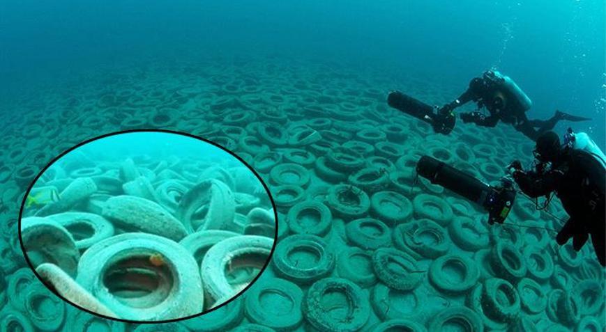 2 milyon araba lastiğinin okyanus dibinde ne işi var Ordu devreye girdi: Çok pişmanız