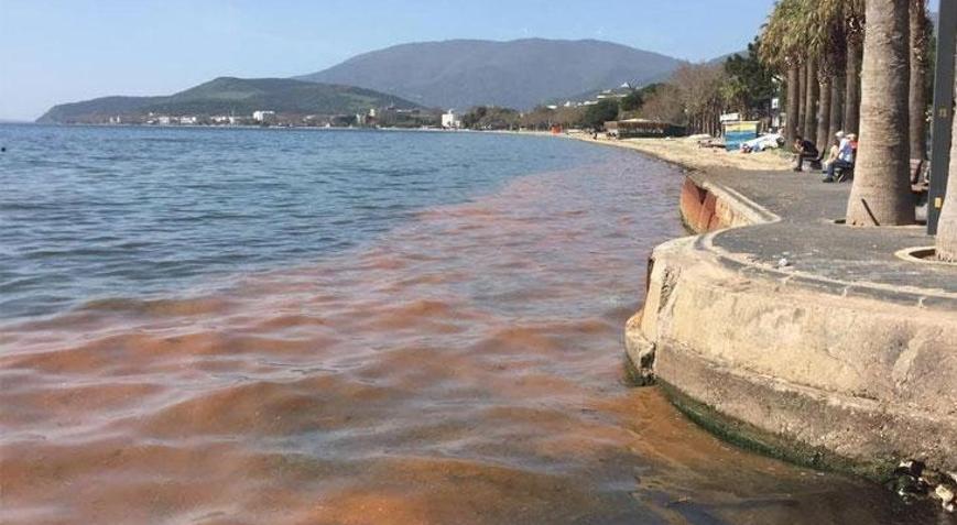Marmara Denizi alarm veriyor: Müsilaj geri gelecek