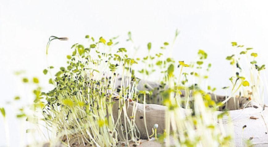 Sanat dünyasına bahar geldi