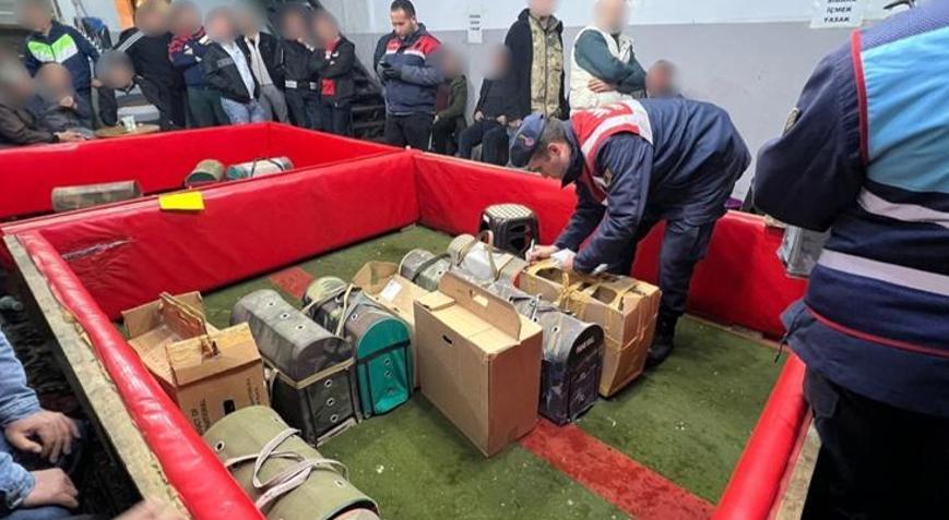 Horoz dövüştürmek için il değiştirmişler 961 bin TL ceza kesildi